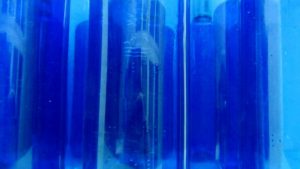 Reciclado Creativo - The Creative Reuse Factory - plastic bottles - botellas de plástico Solán de Cabras