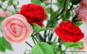 Flores de Crochet - Rosas de Pitiminí de ganchillo
