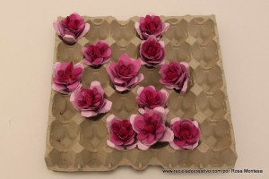 Flores rosas con hueveras de cartón - egg carton flowers