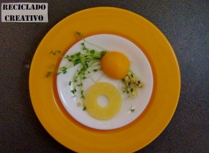 Lentejas germinadas en casa