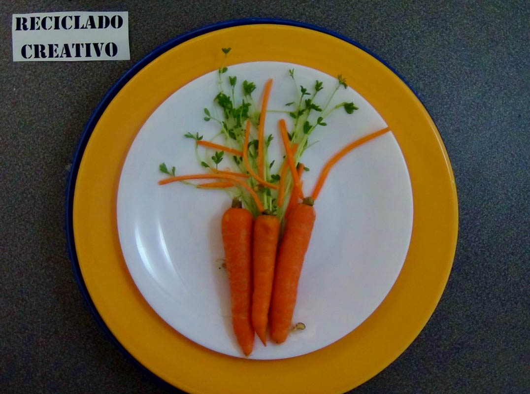 Lentejas germinadas en casa