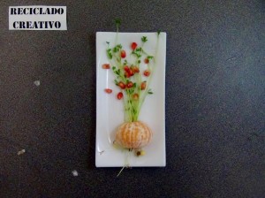 Lentejas germinadas en casa