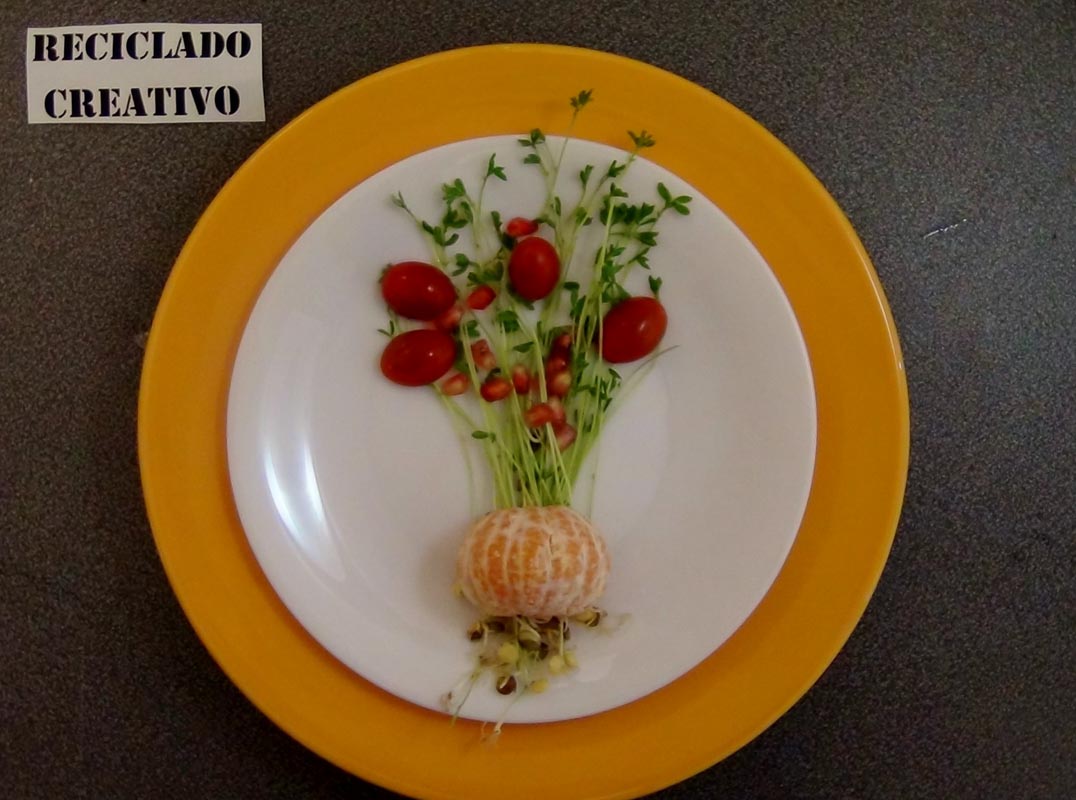 Lentejas germinadas en casa