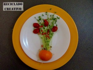 Lentejas germinadas en casa
