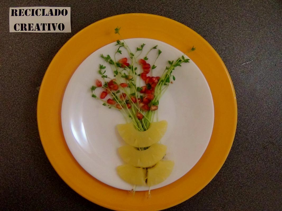 Lentejas germinadas en casa