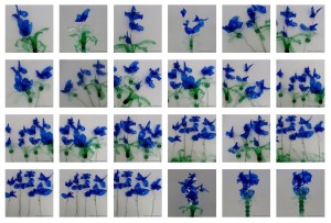 Blaue Blumen - Flores azules - Blue Flowers