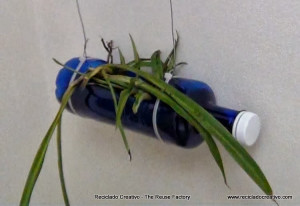 Jardín con botellas de plástico recicladas