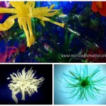 De botellas de plástico, a flora y fauna marina. Medusas, peces, corales, plantas y flores soñadas